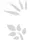Šabloni za nokte Nail Art Polish Tattoo NPT - NPT012