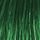 Intenzivne nijanse - pigment za kosu Direct Color - Green Woodland