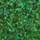 IRIDESCENTS - lak za nokte 12 ml - Forest Chic