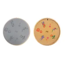 Šablon silikonski za Nail Art F6