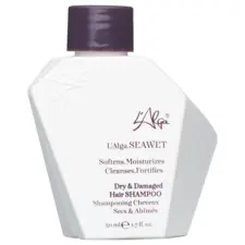 Dray and Damaged Hair Shampoo - Seawet